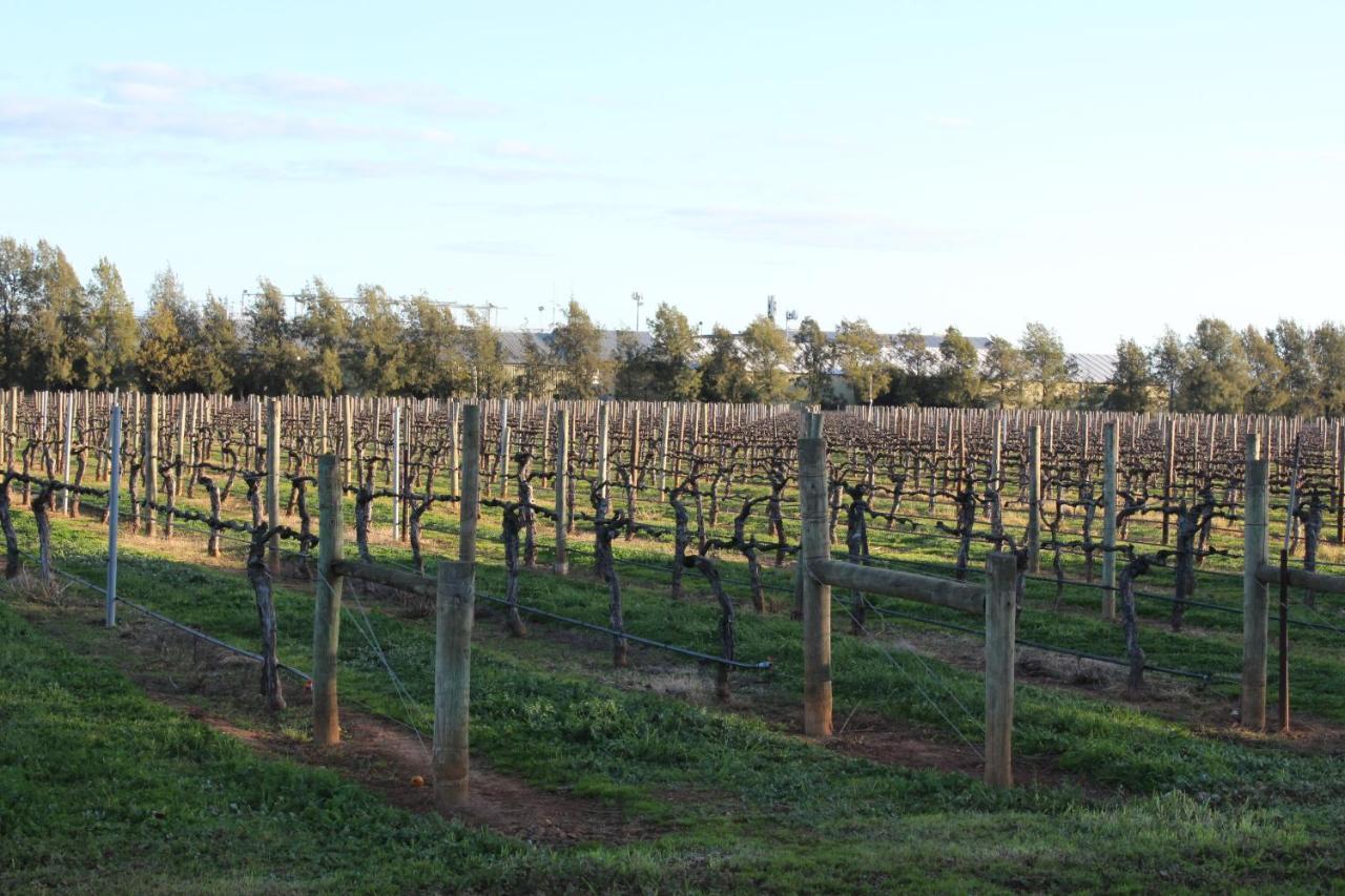 Milawa Vineyard Views - Guesthouse 2 Экстерьер фото